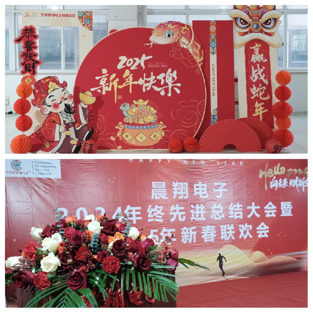 晨翔電子2024年終先進總結大會暨2025年新春聯歡會圓滿落幕！